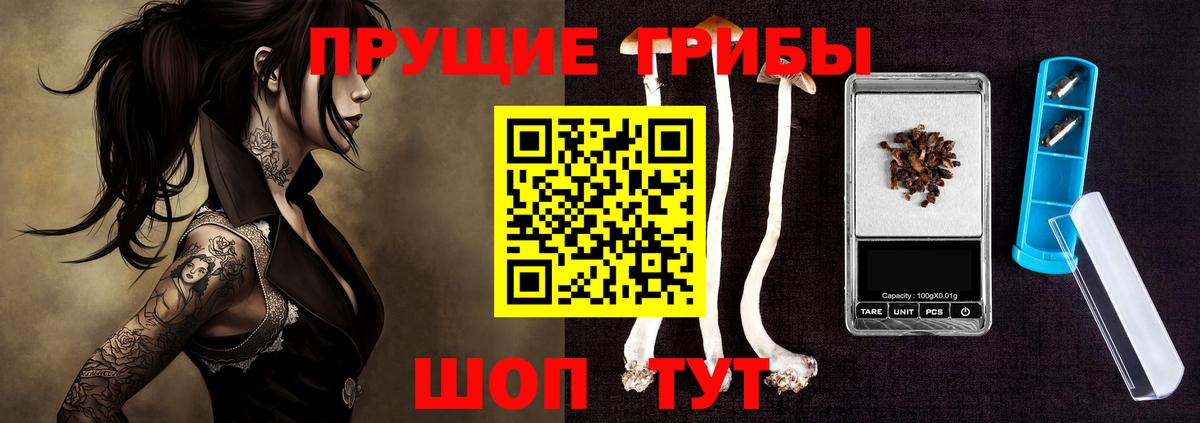 Псилоцибиновые грибы ЛСД  Псилоцибиновые грибы мухоморы  Вход с VPN  Ярцево 